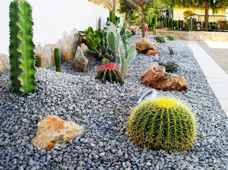  Ciottoli Maltoni S.n.c. di Maltoni Fabio & C.